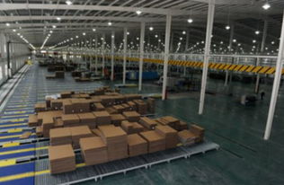 龍利得 率先建成印刷包裝行業(yè)智慧工廠,產(chǎn)品創(chuàng)新讓其贏得大客戶青睞